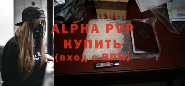 a pvp Абаза