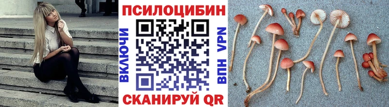 Галлюциногенные грибы GOLDEN TEACHER  Туринск 